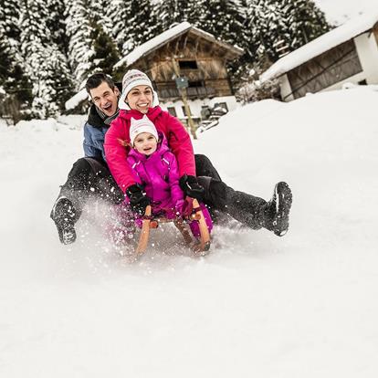 With the Sledge through the Woods in Scena in South Tyrol