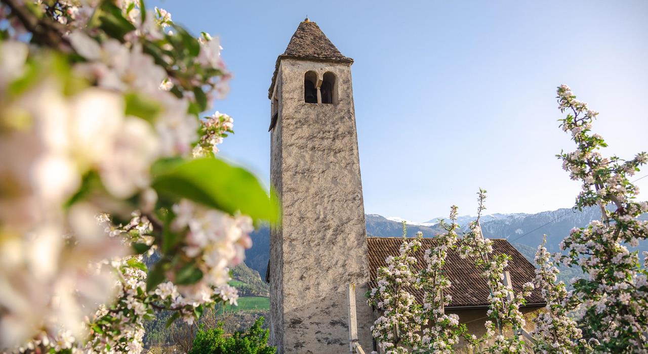 St. Prokulus Kirche und Museum