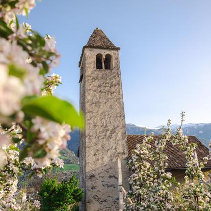 St. Prokulus Kirche und Museum