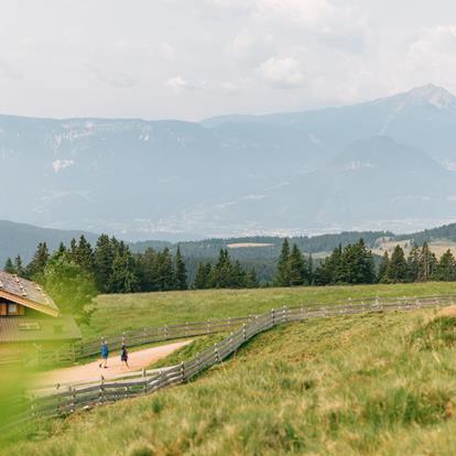 Sommer, grünes Gras, Almhütte und Wanderer, Aussicht auf Berge