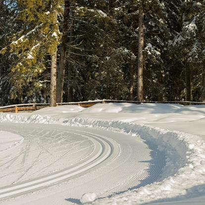 Attività invernale durante lo sci di fondo a Falzeben, Avelengo