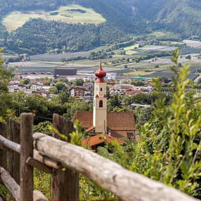 Catalogues to download and browse