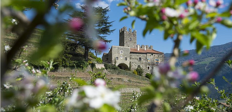 Nature & Culture in South Tyrol