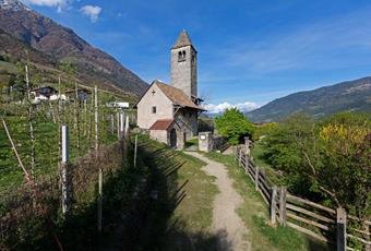 Die St. Prokulus Kirche