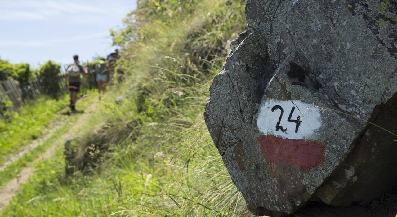 Wandern-Meraner-Höhenweg-Meraner-Land-dp-1