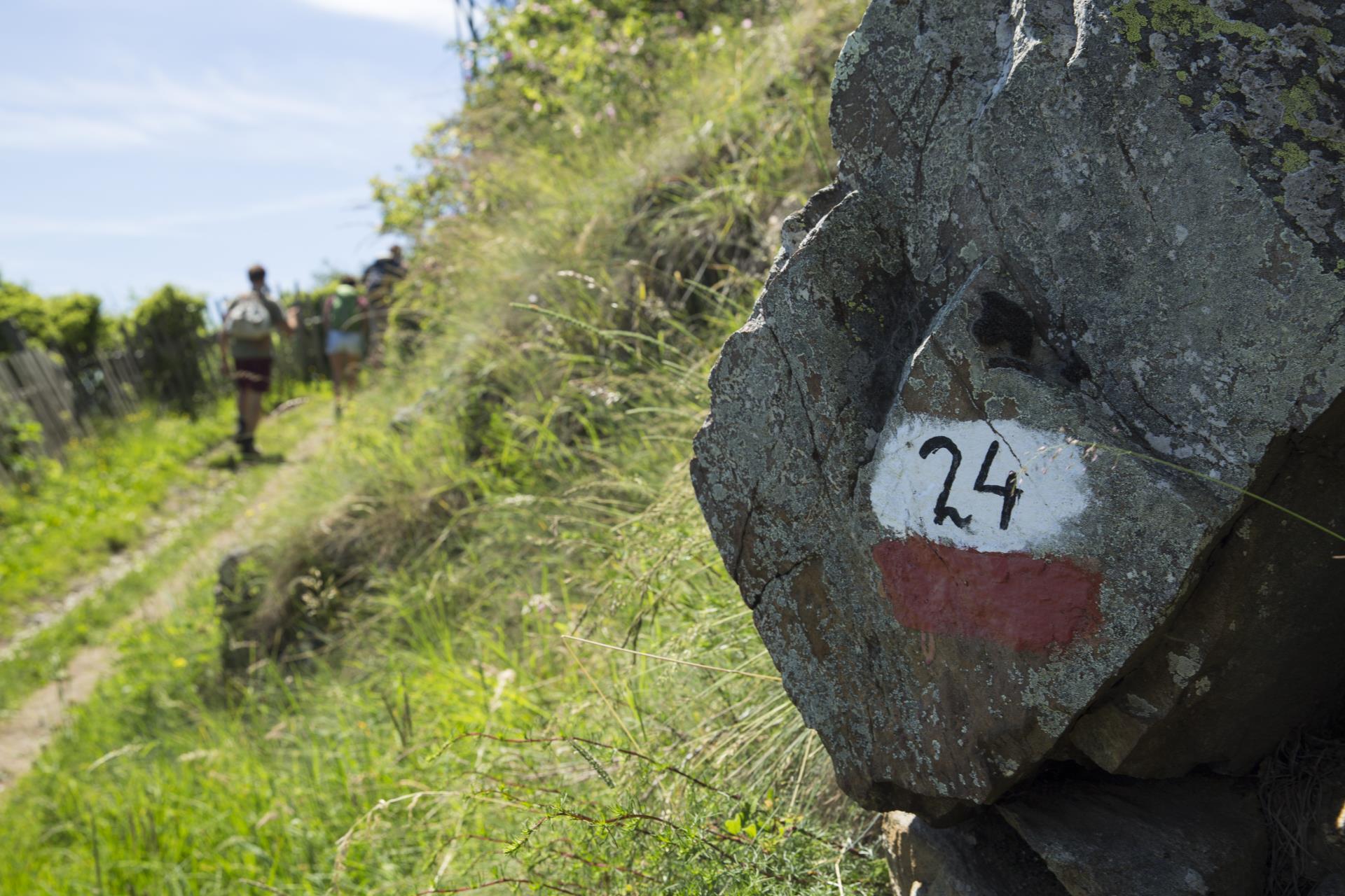 Wandern-Meraner-Höhenweg-Meraner-Land-dp-1