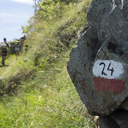 Bergwandelroute Meraner Höhenweg in Zuid-Tirol