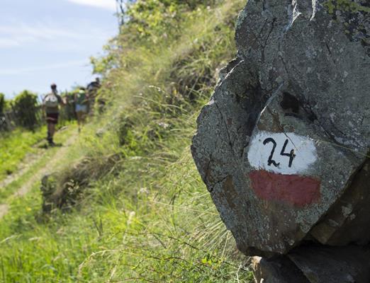 Wandern-Meraner-Höhenweg-Meraner-Land-dp-1