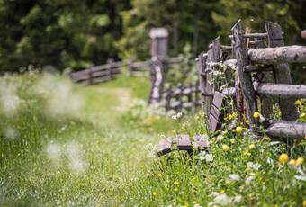 Alta Val di Non