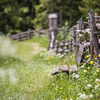 MANGIARE E BERE IN ALTA VAL DI NON