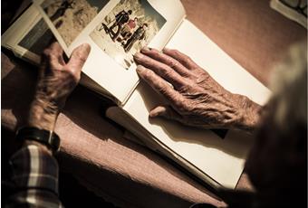 Stories and news