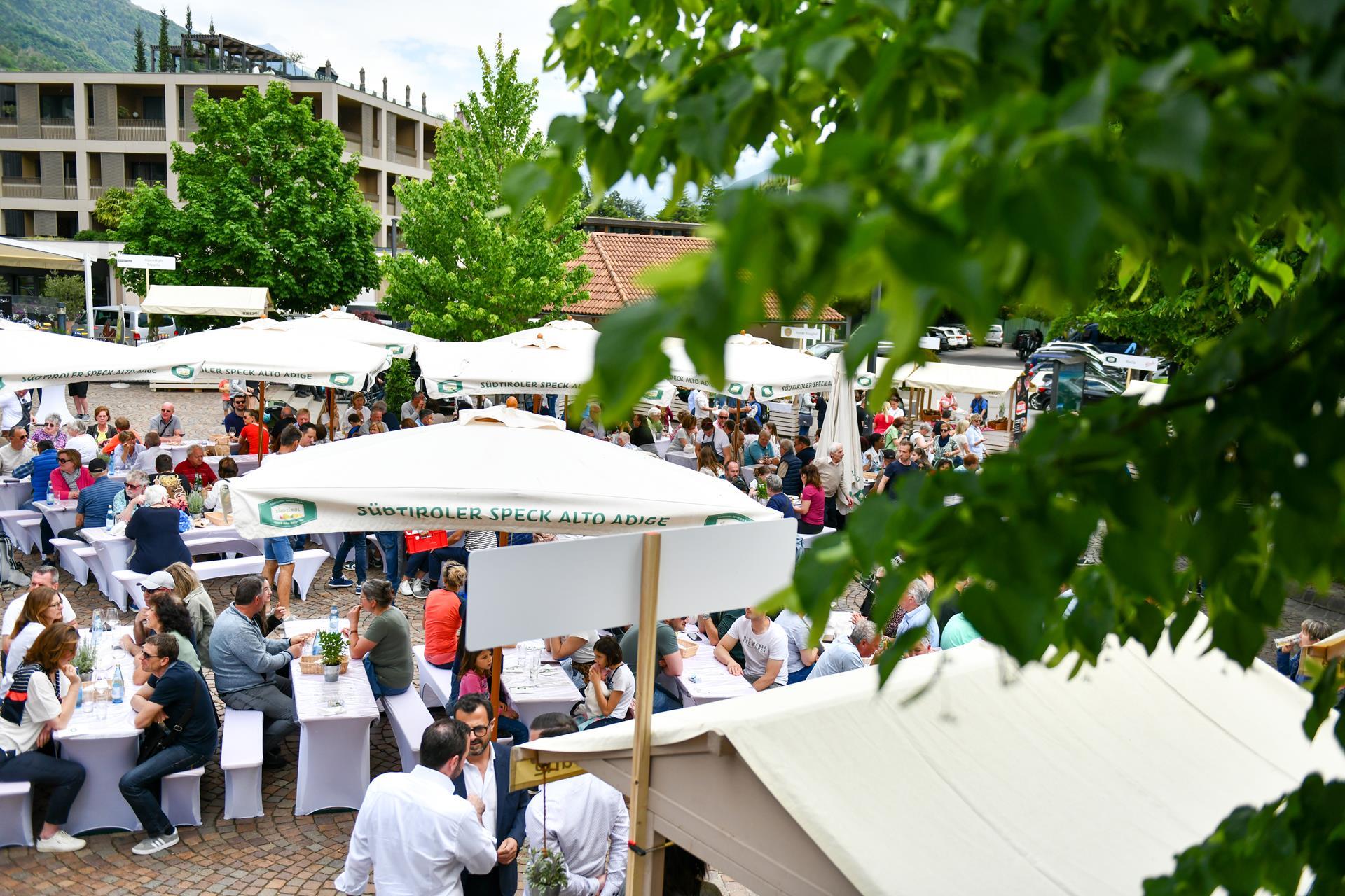 specktag-naturns-2025-tg-naturns-manfred-mair-129