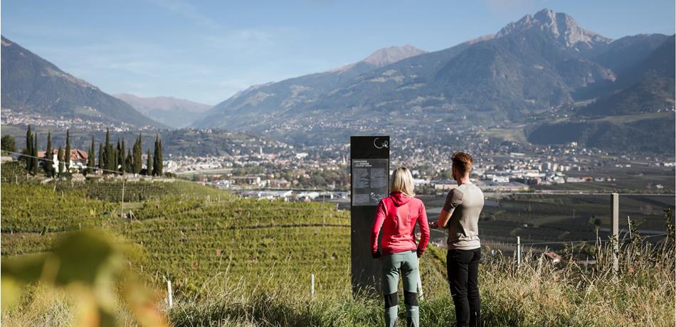 The WineCulturePath Marlengo