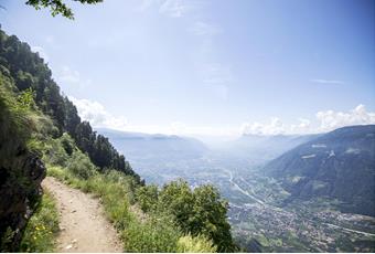 Webcams in South Tyrol