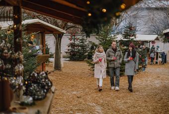 Veranstaltungs-Highlights