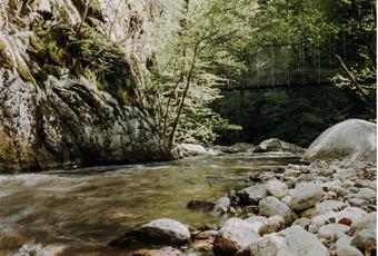 Passeggiate e sentieri tematici