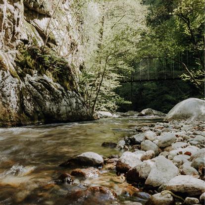 Promenaden und Themenwege in Lana und Umgebung