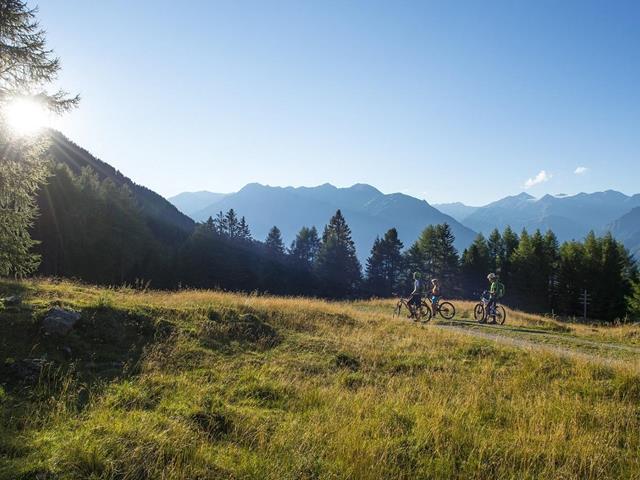 Mountainbiking on the Nörderberg of Naturno