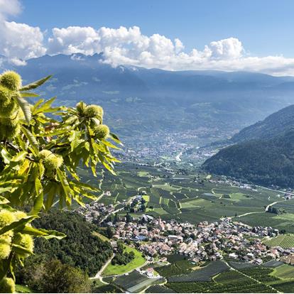 Natural Monuments in Partschins