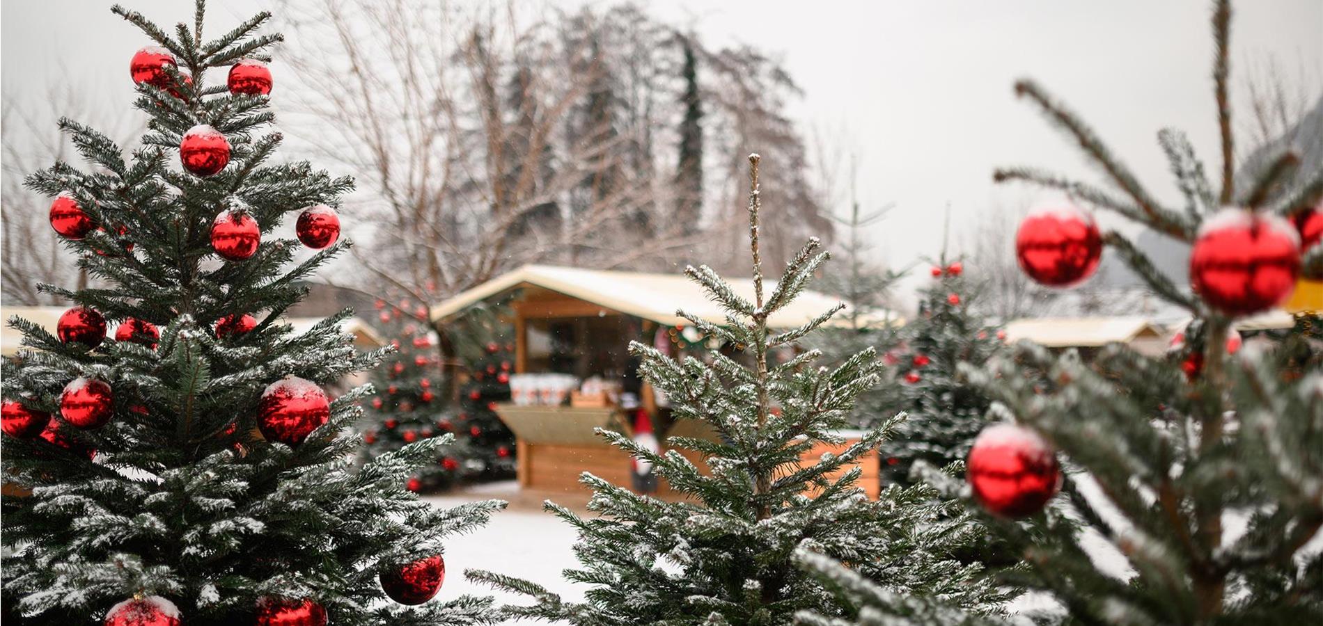 Weihnachten in Lana
