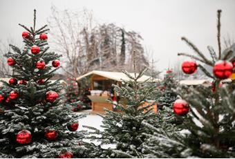 Der Sterntaler Weihnachtsmarkt in Lana bei Meran