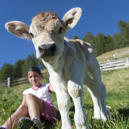 Vacanze in famiglia in Val Senales