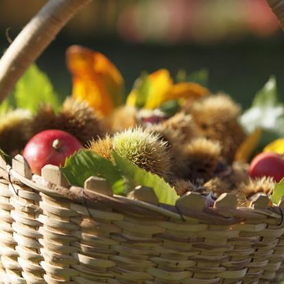 Castagnata e autunno a Tesimo - Prissiano