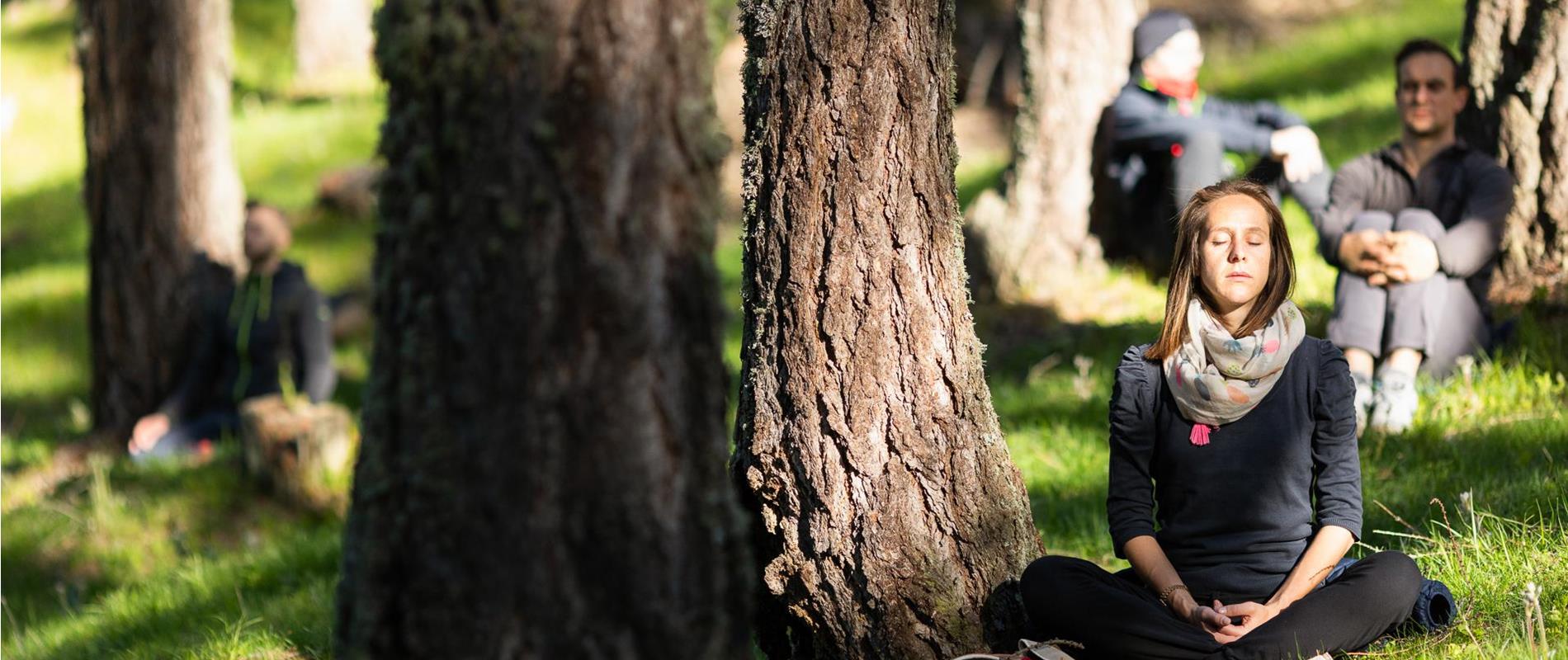 Alpine Forest Bathing in Merano and Environs