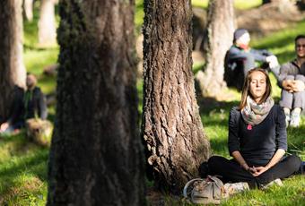 Alpine forest bathing