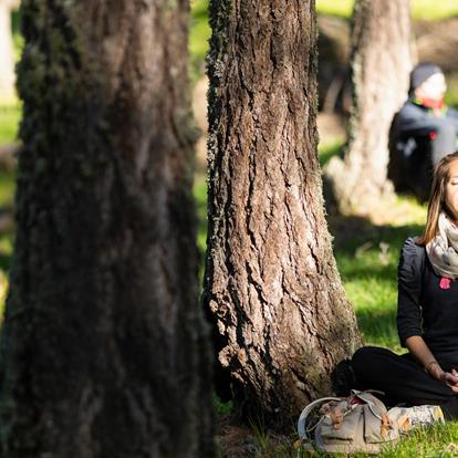 Alpine Forest Bathing in Merano and Environs