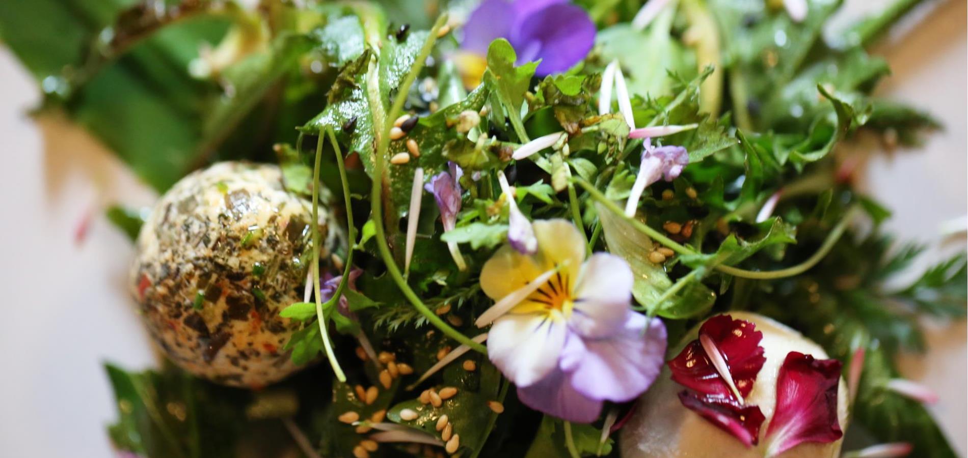 Goat cheese pralines on wild herb salad