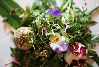 Goat cheese pralines on wild herb salad