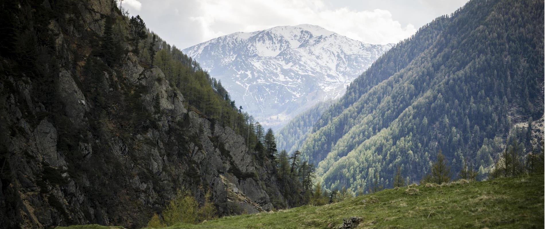Holidays for Everyone in the Schnalstal Valley
