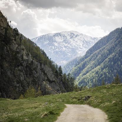 Barrierefreier Urlaub im Schnalstal