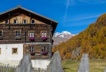 Traditional Farms in Schnalstal Valley