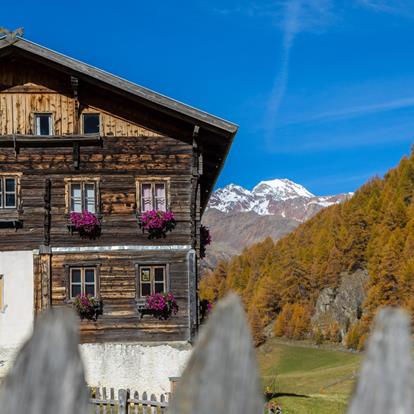 Traditional Farms in Schnalstal Valley