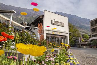 Contact and Opening Hours