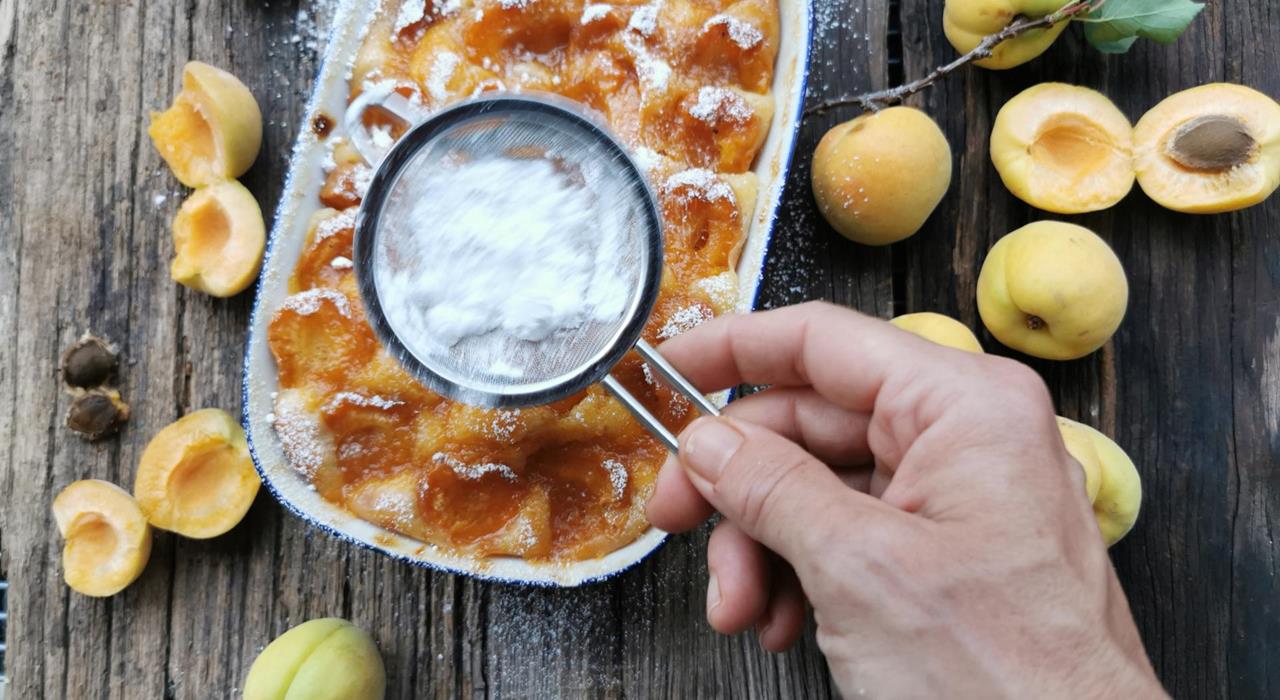 Apricot cake Val Venosta