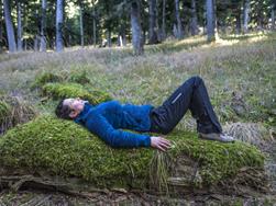 Alpines Waldbaden: der Wald und ich