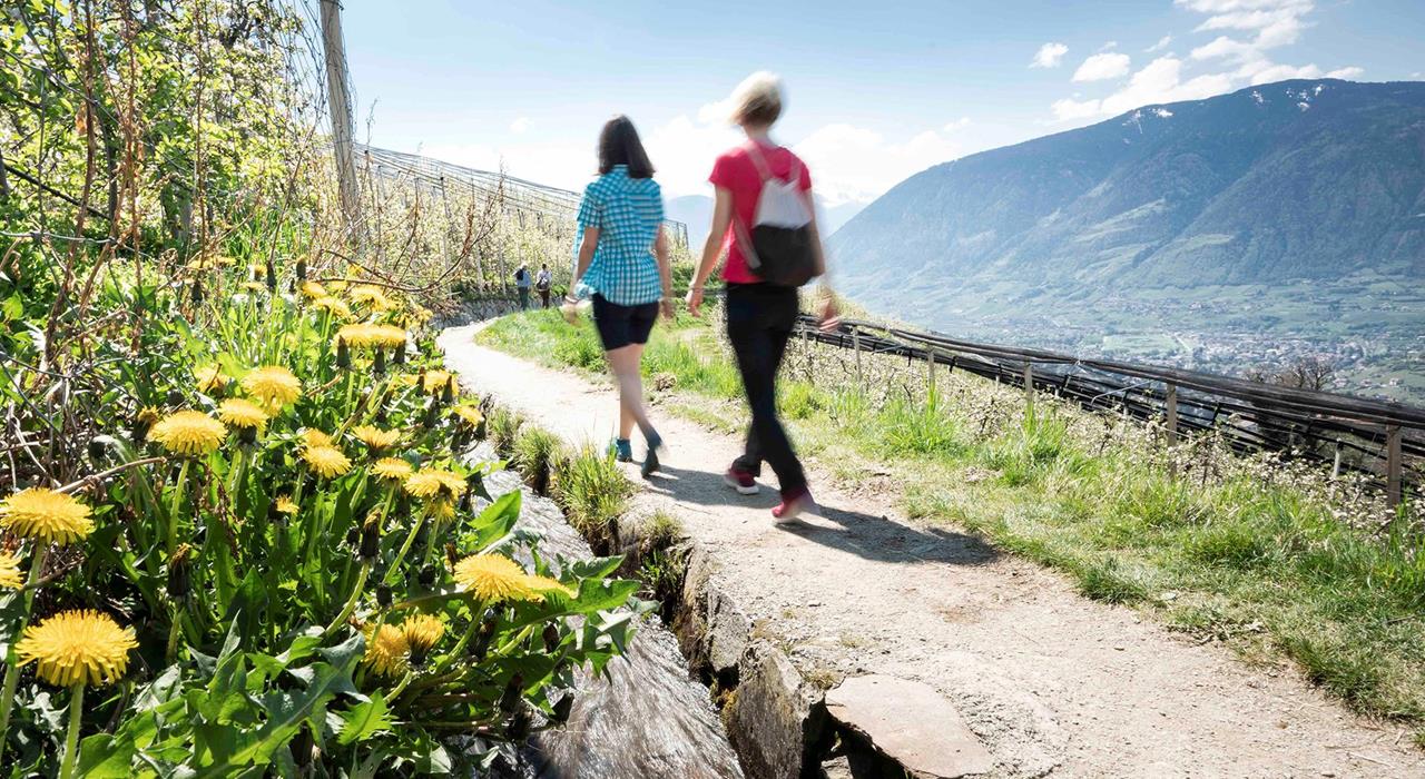 wandern-waalweg-schenna-dd