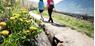 Top-5 Wander- und Waalwege