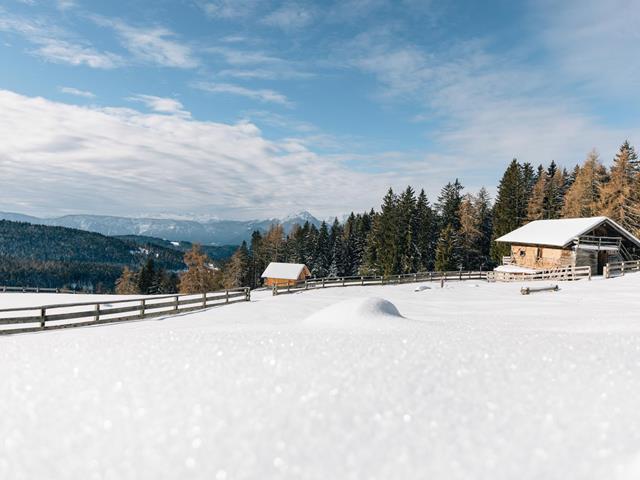 -tv-hafling-voeran-meran-2000-benjamin-pfitscher-2025-winter-35