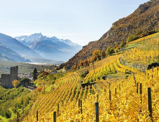 tg-naturns-maria-gapp-falkenstein10