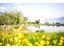 Natur-Burglehenpark-Teich-MG-2