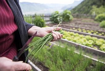 Real Quality in the Mountains in South Tyrol