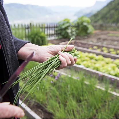 Real Quality in the Mountains in South Tyrol