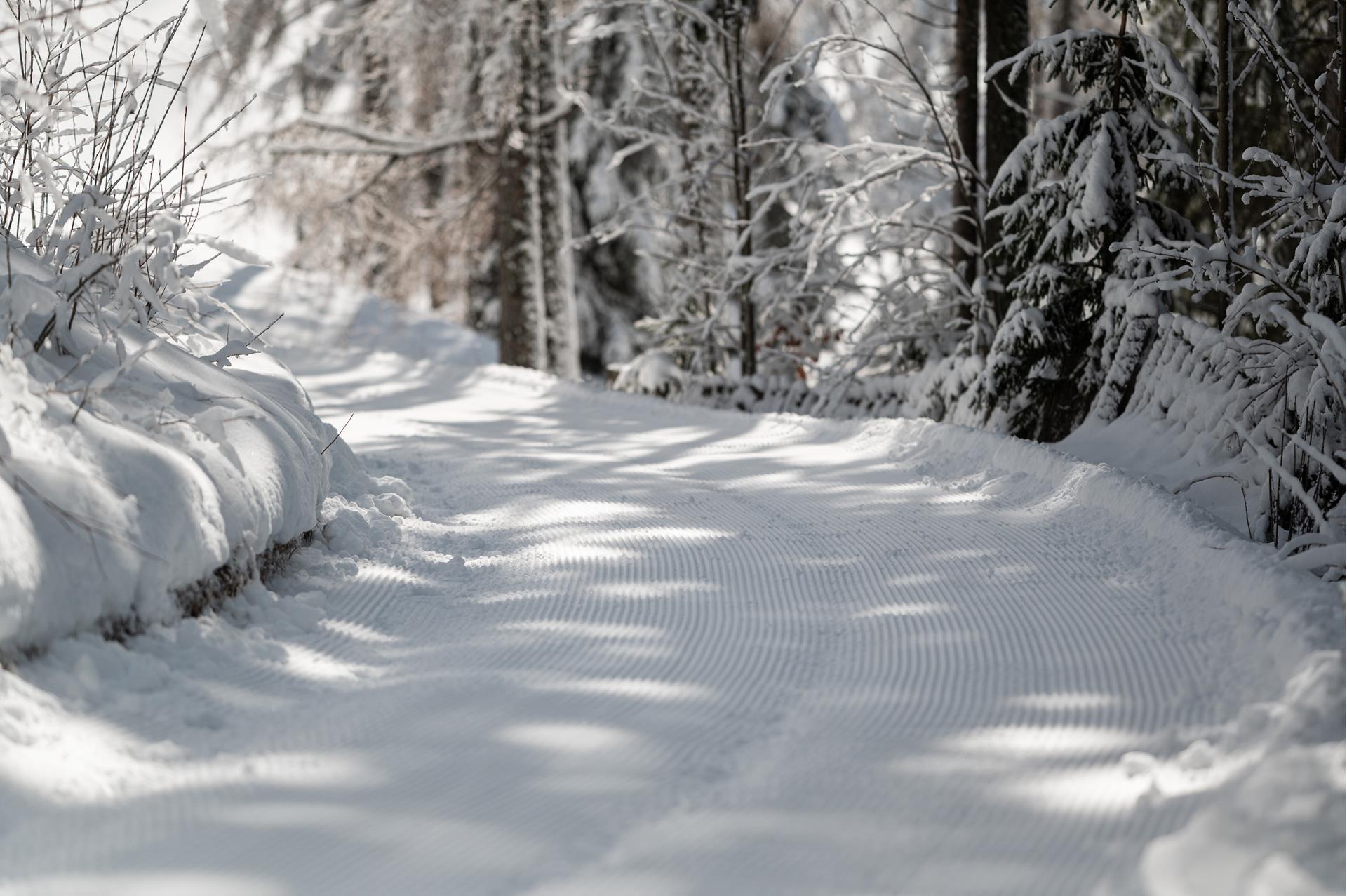 nur-nach-ruecksprache-mit-sybille-verwenden-spa-114