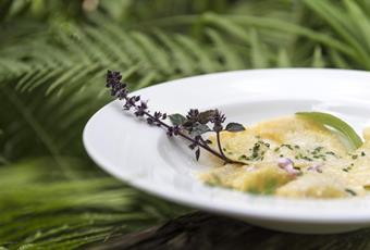 Schlutzkrapfen – pasta filled with spinach and ricotta