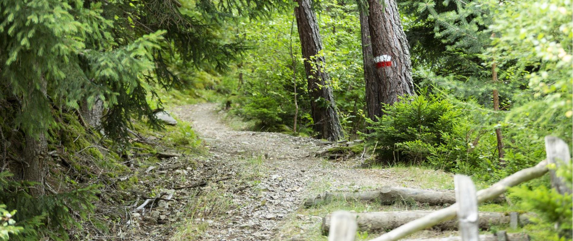 Vacanze attiva a Marlengo e dintorni