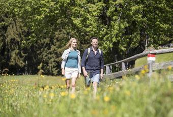 Hiking-easy-walk-forest-nature-Avelengo-Verano-Merano2000-ml